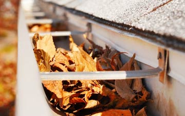 Culrain gutter cleaning companies