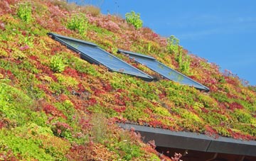 Culrain living roof systems