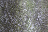 Culrain fibreglass roof work